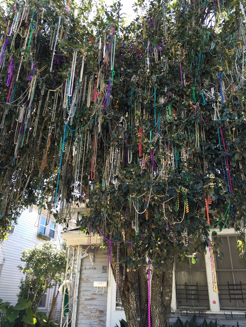 Living Rootless: Lafayette: The Mardi Gras Tree